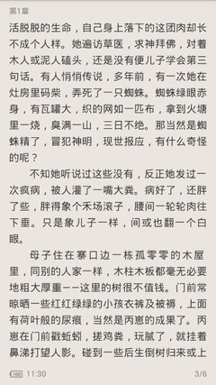 菲律宾办旅游签转工作签 哪些情况下不能办理